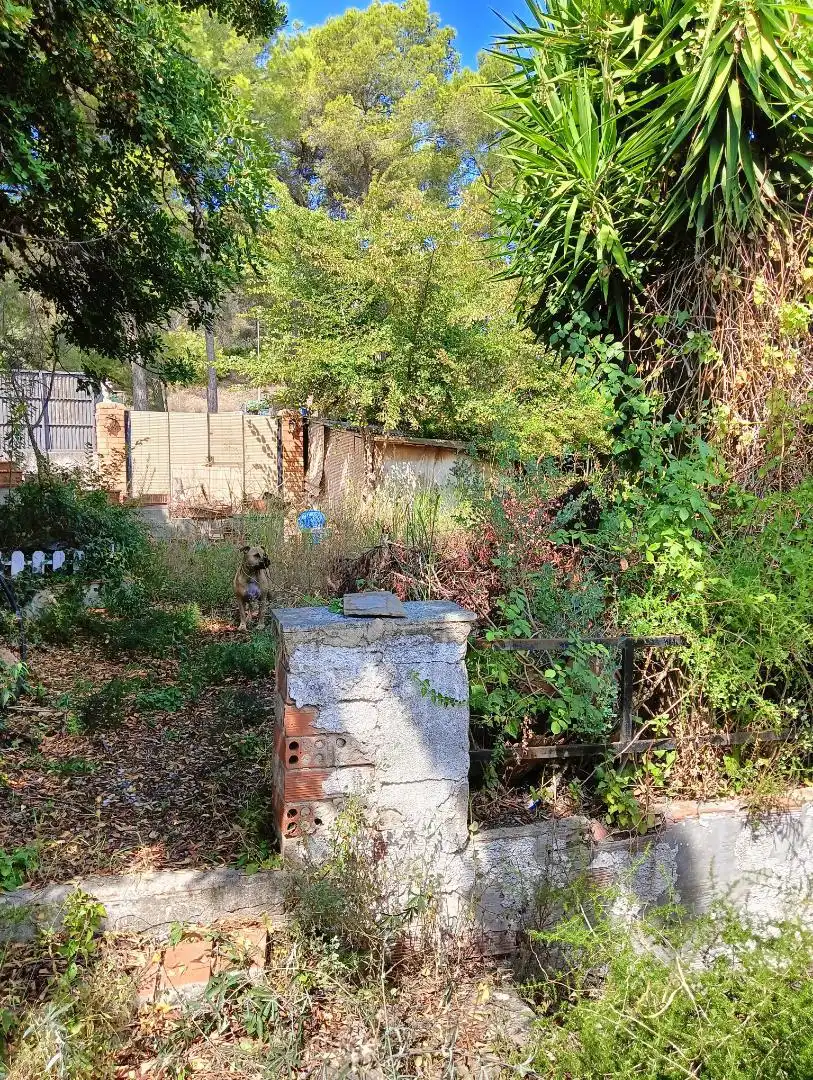 Jardín de Terreno en venta en Rubí