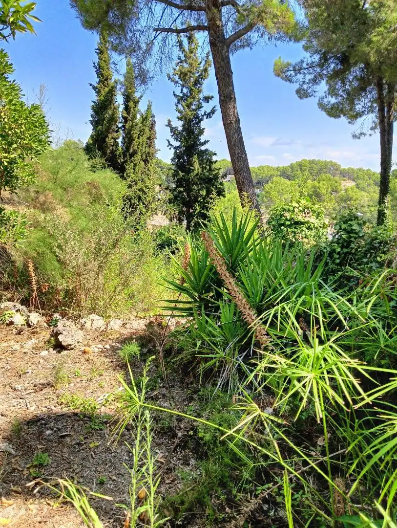 Terreno en venta en Rubí