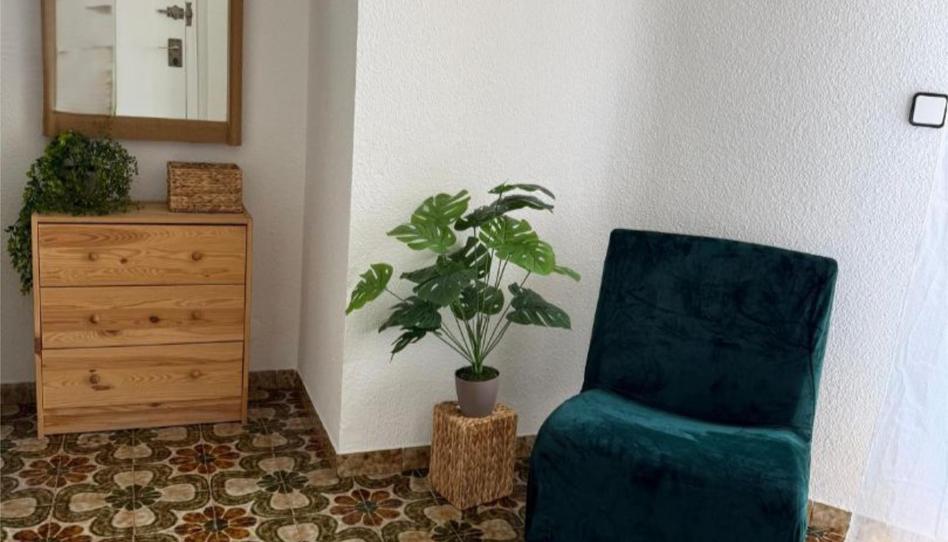 Photo 1 of Flat to rent in Avinguda D'alacant, 64, Ciutat Jardí - Torreta Verdí, Alicante