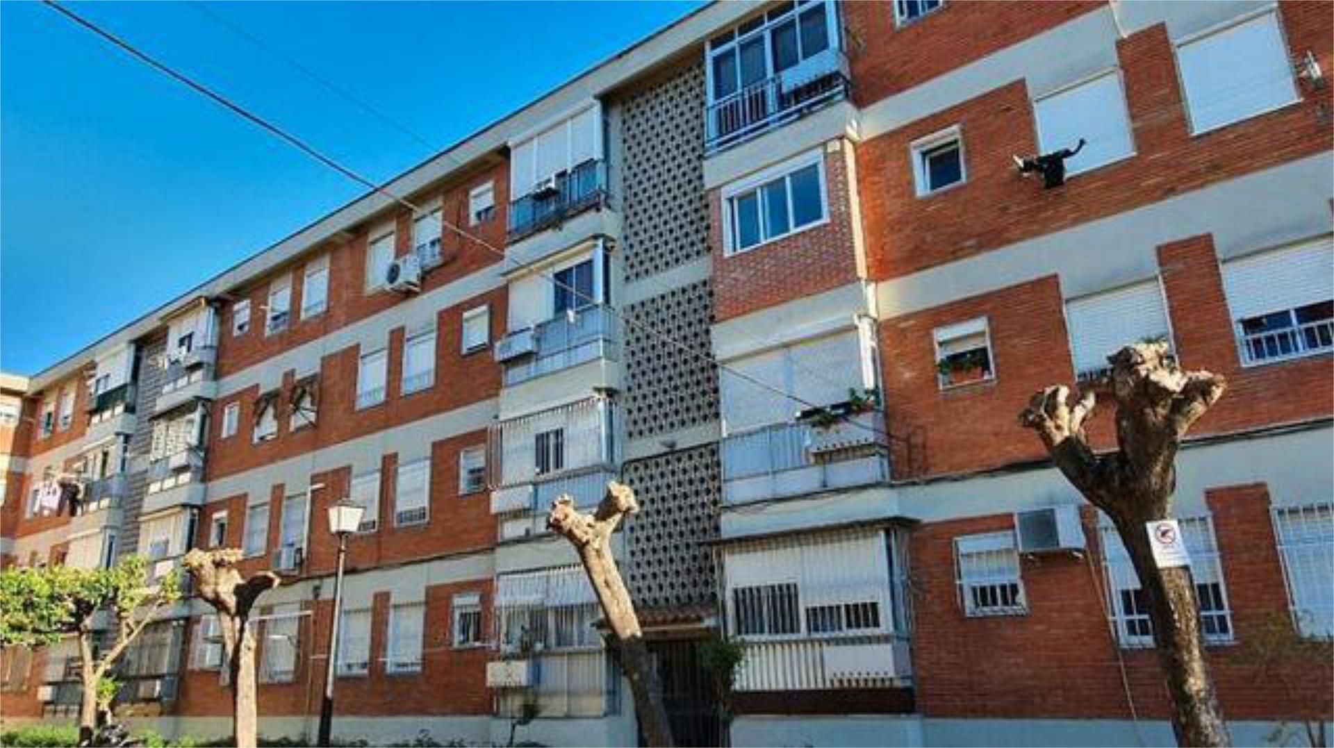 Vista exterior de Pis en venda en Jerez de la Frontera amb Calefacció, Jardí privat i Terrassa