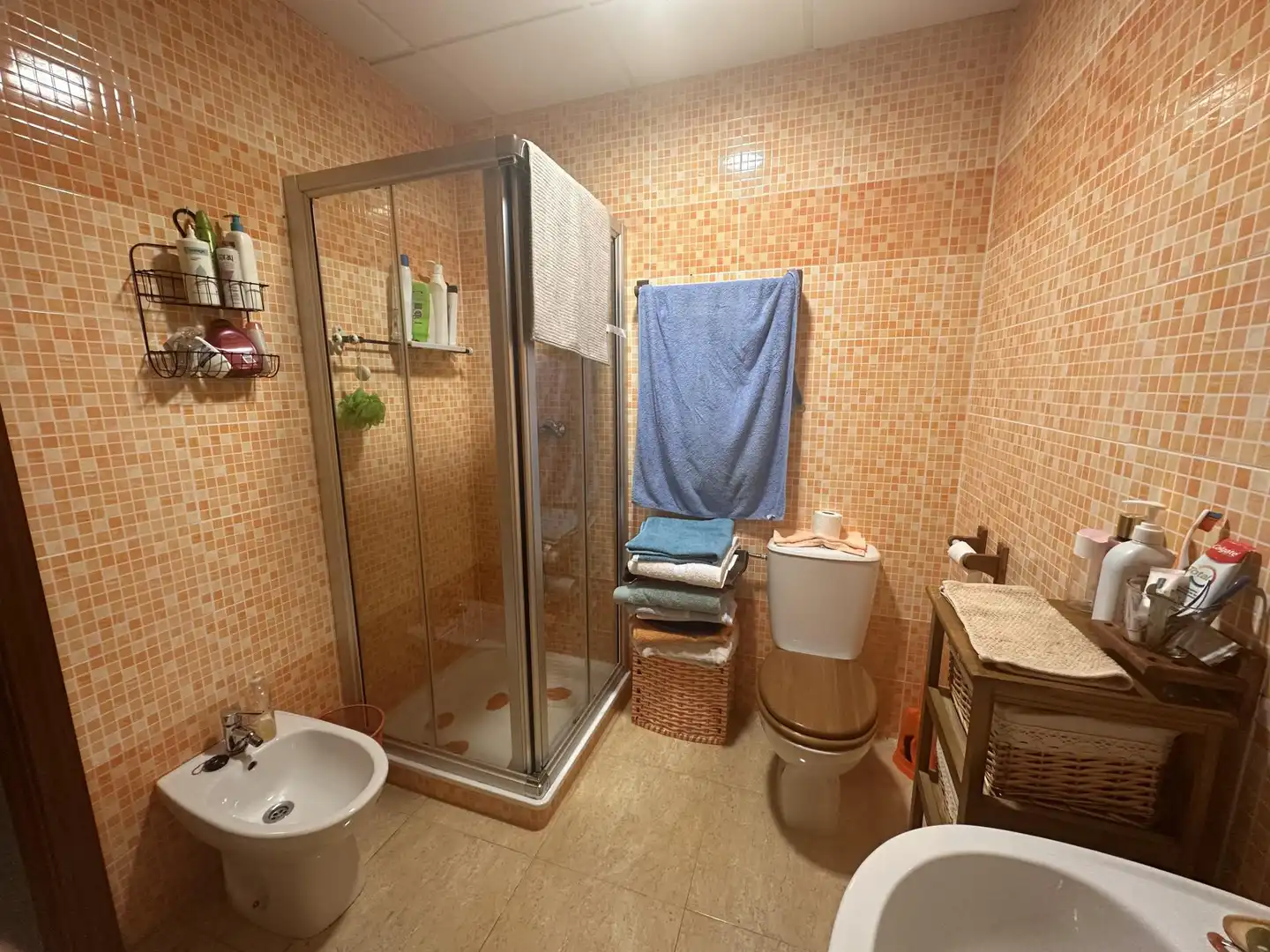 Detached homes for sale in Camino de San Pedro de Mérida, 95, San Pedro de Mérida Bathroom of Detached homes for sale in San Pedro de Mérida with Air Conditioner, Private garden and Parquet flooring