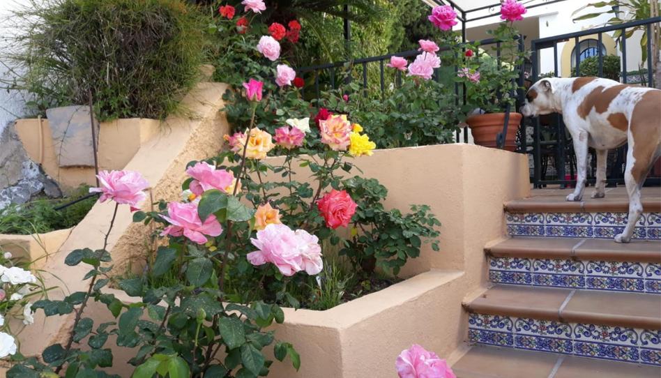 Single-family semi-detached for sale in Urbanización la Sierrezuela, 1, Campo de Mijas, Málaga - image 1 Photo 1 of Single-family semi-detached for sale in Urbanización la Sierrezuela, 1, Campo de Mijas, Málaga