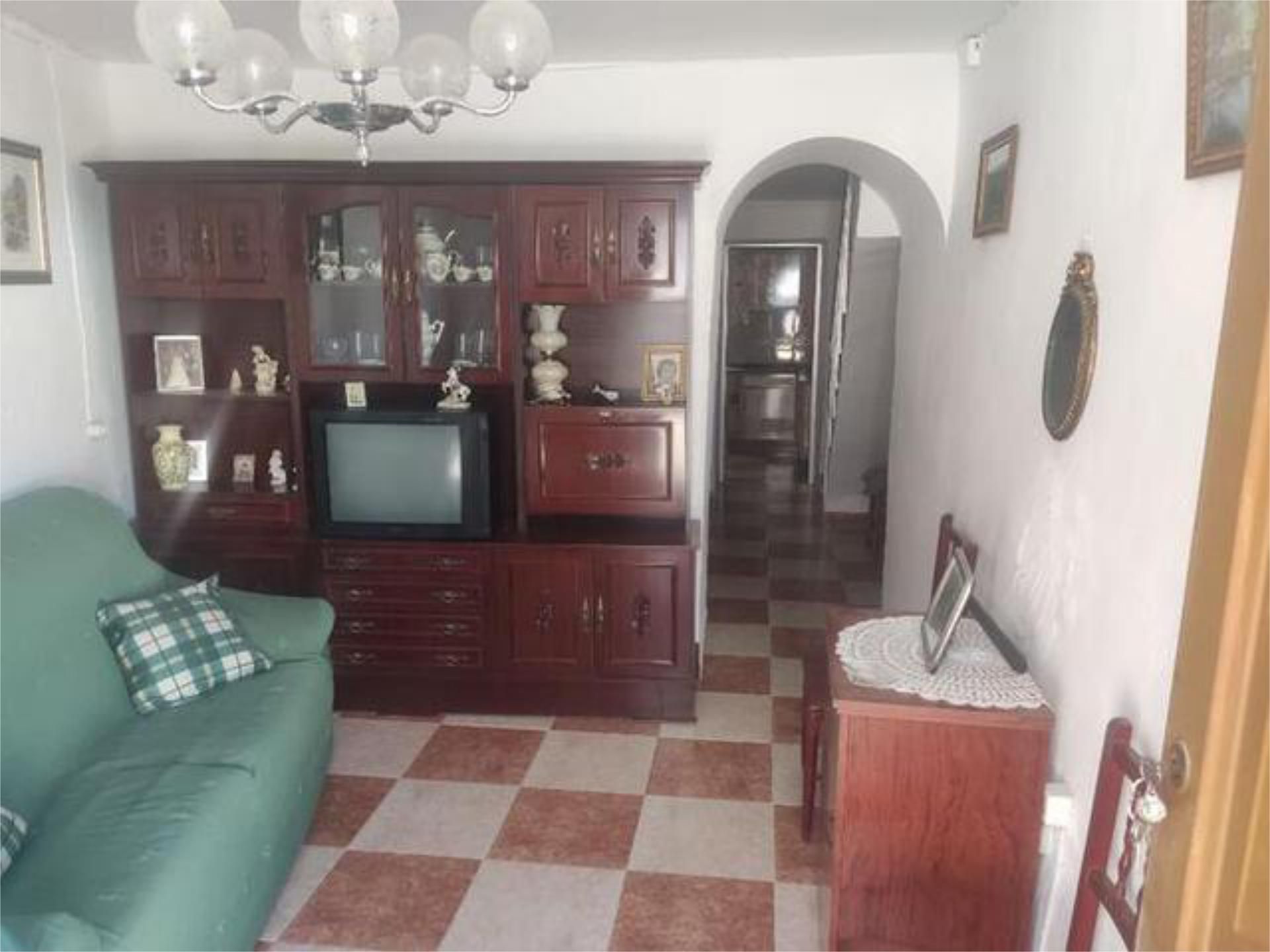 Sala d'estar de Casa o xalet en venda en Olvera amb Jardí privat i Terrassa