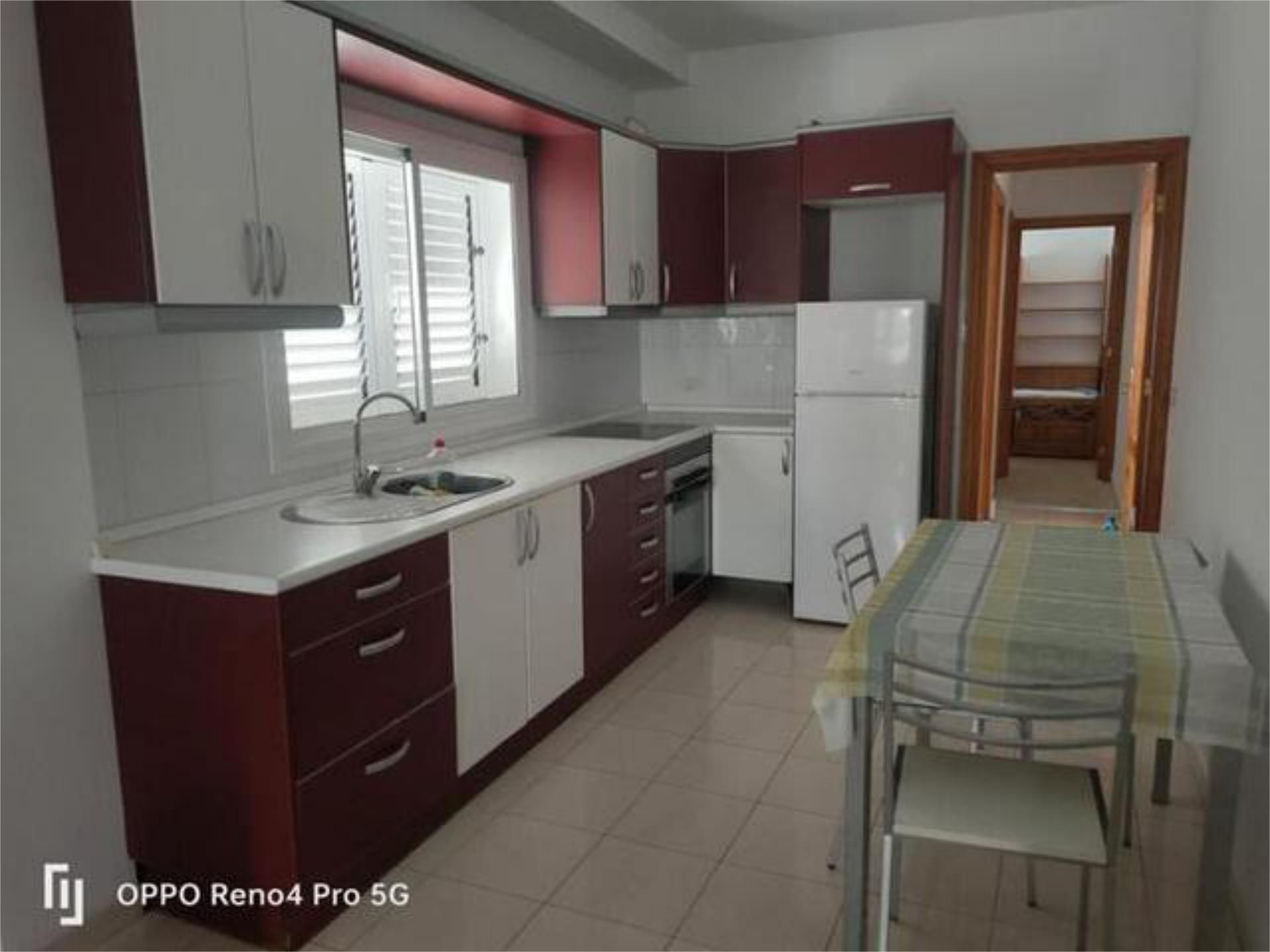 Cuina de Apartament de lloguer en Las Palmas de Gran Canaria amb Moblat i Es permeten mascotes