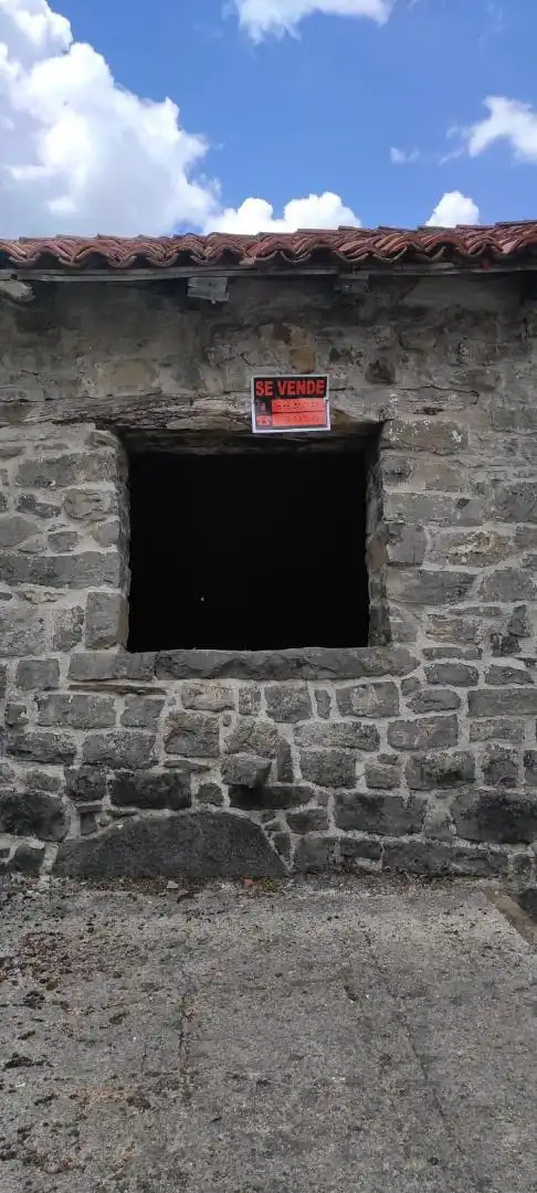 Vista exterior de Finca rústica en venta en Oseja de Sajambre con Terraza