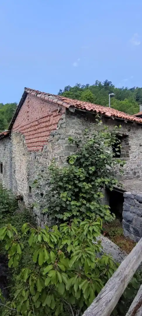 Vista exterior de Finca rústica en venta en Oseja de Sajambre con Terraza