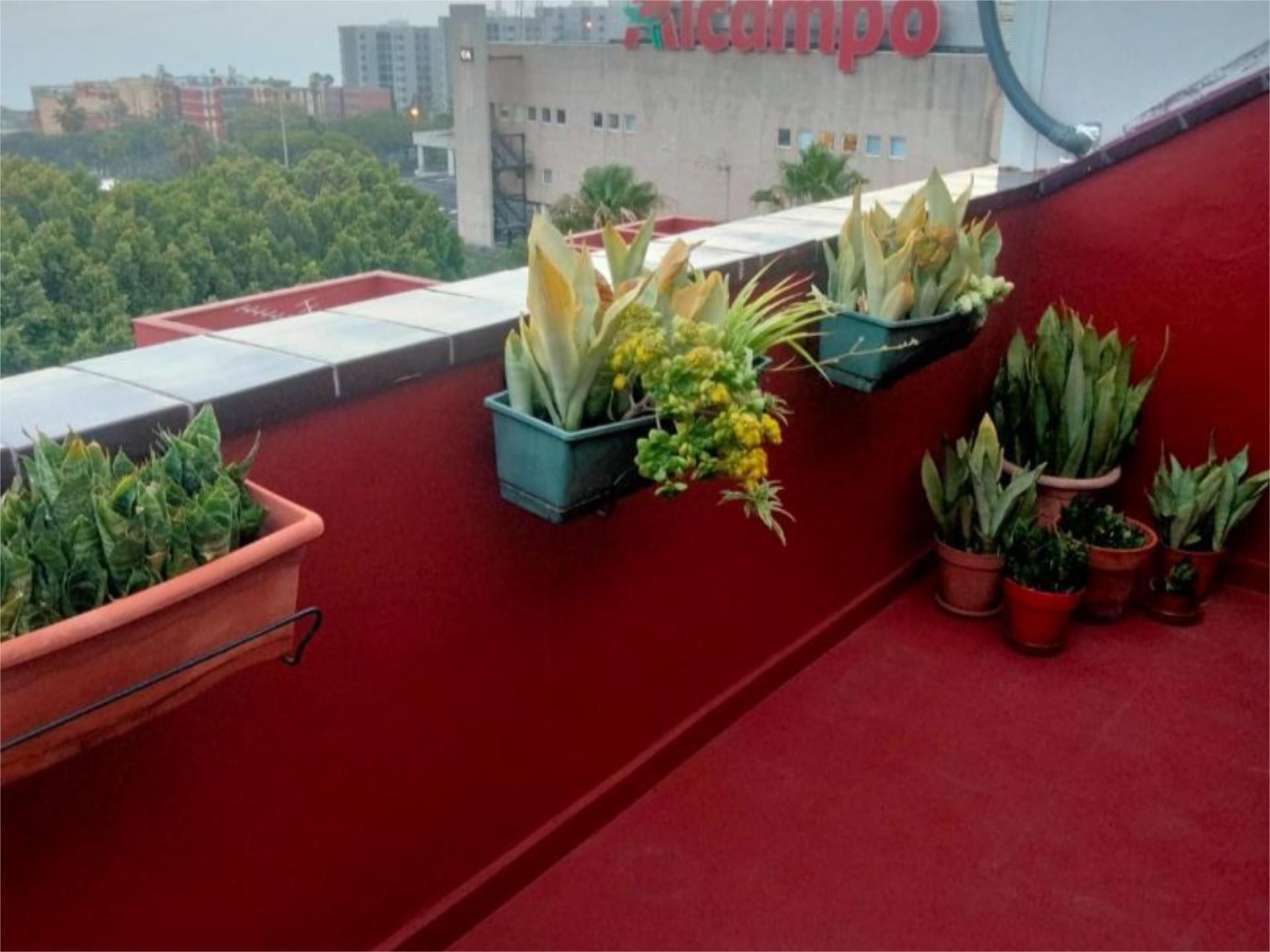 Terrassa de Dúplex de lloguer en San Cristóbal de la Laguna amb Terrassa i Moblat