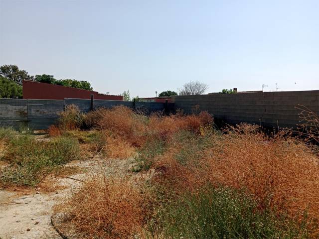 Terreno en Venta en Calle Virgen del Rocío, 20 en San Juan del Puerto