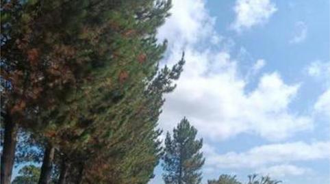 House or chalet for sale in Cospeito, Lugo - image 4 Photo 4 of House or chalet for sale in Cospeito, Lugo