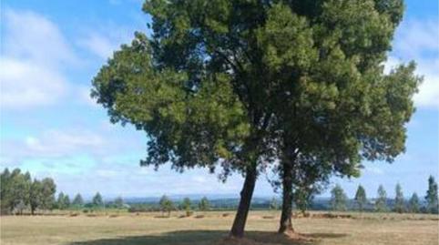 House or chalet for sale in Cospeito, Lugo - image 5 Photo 5 of House or chalet for sale in Cospeito, Lugo