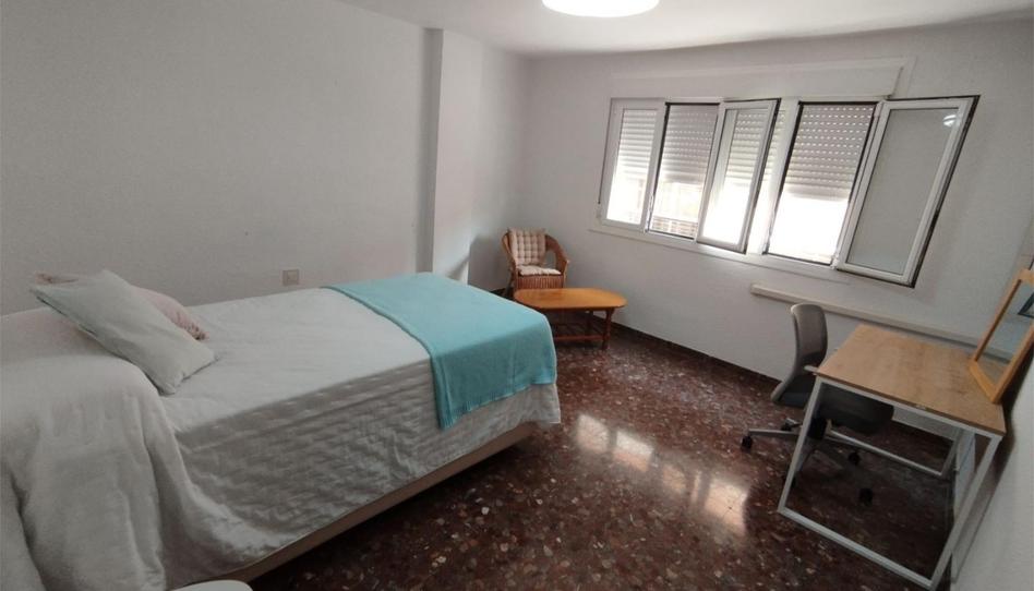 Flat to rent in Calle Joaquín Peralta, 20, Plaza de Toros - Santa Rita, Almería - image 1 Photo 1 of Flat to rent in Calle Joaquín Peralta, 20, Plaza de Toros - Santa Rita, Almería