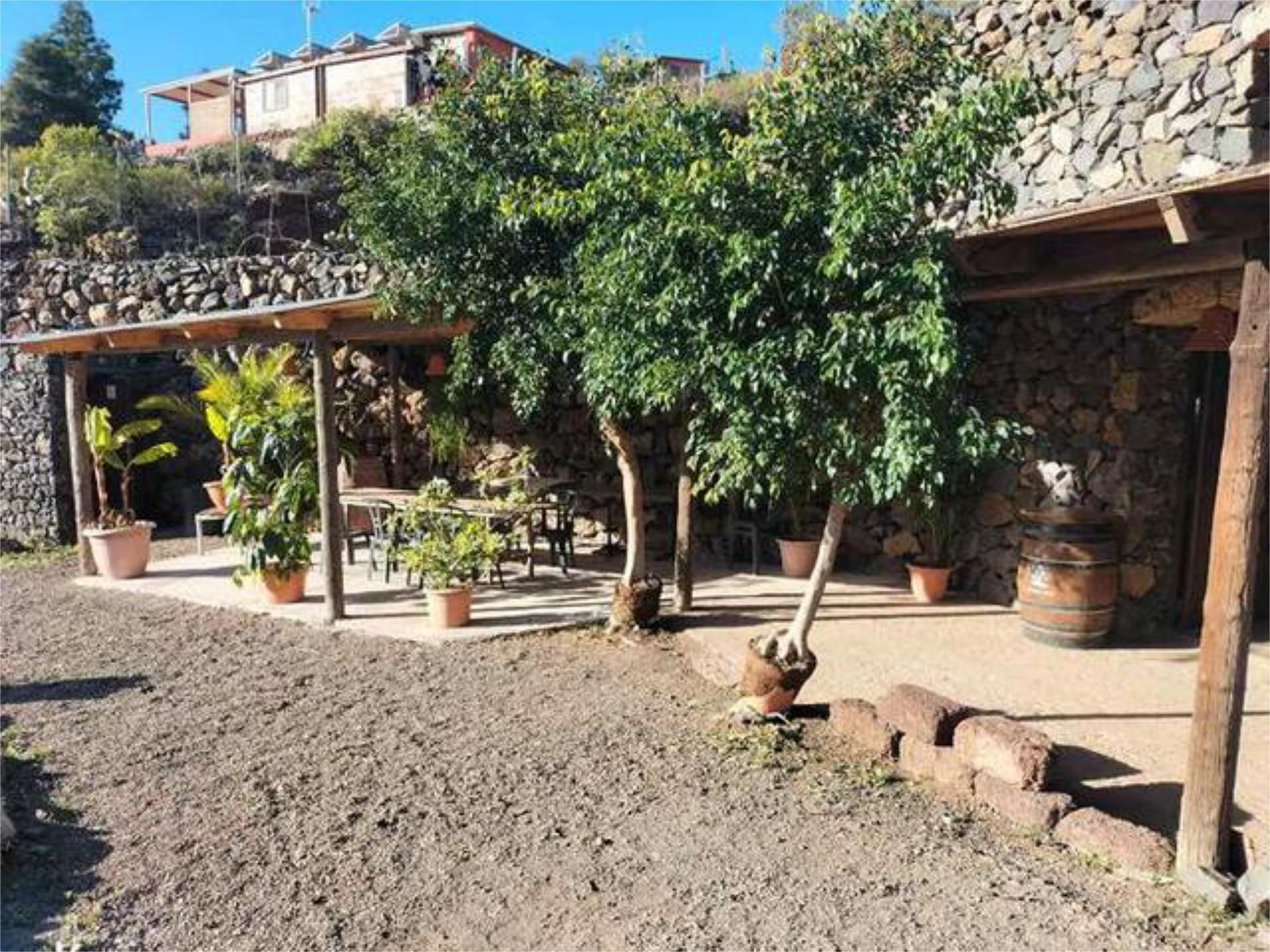 Jardín de Local de alquiler en Candelaria