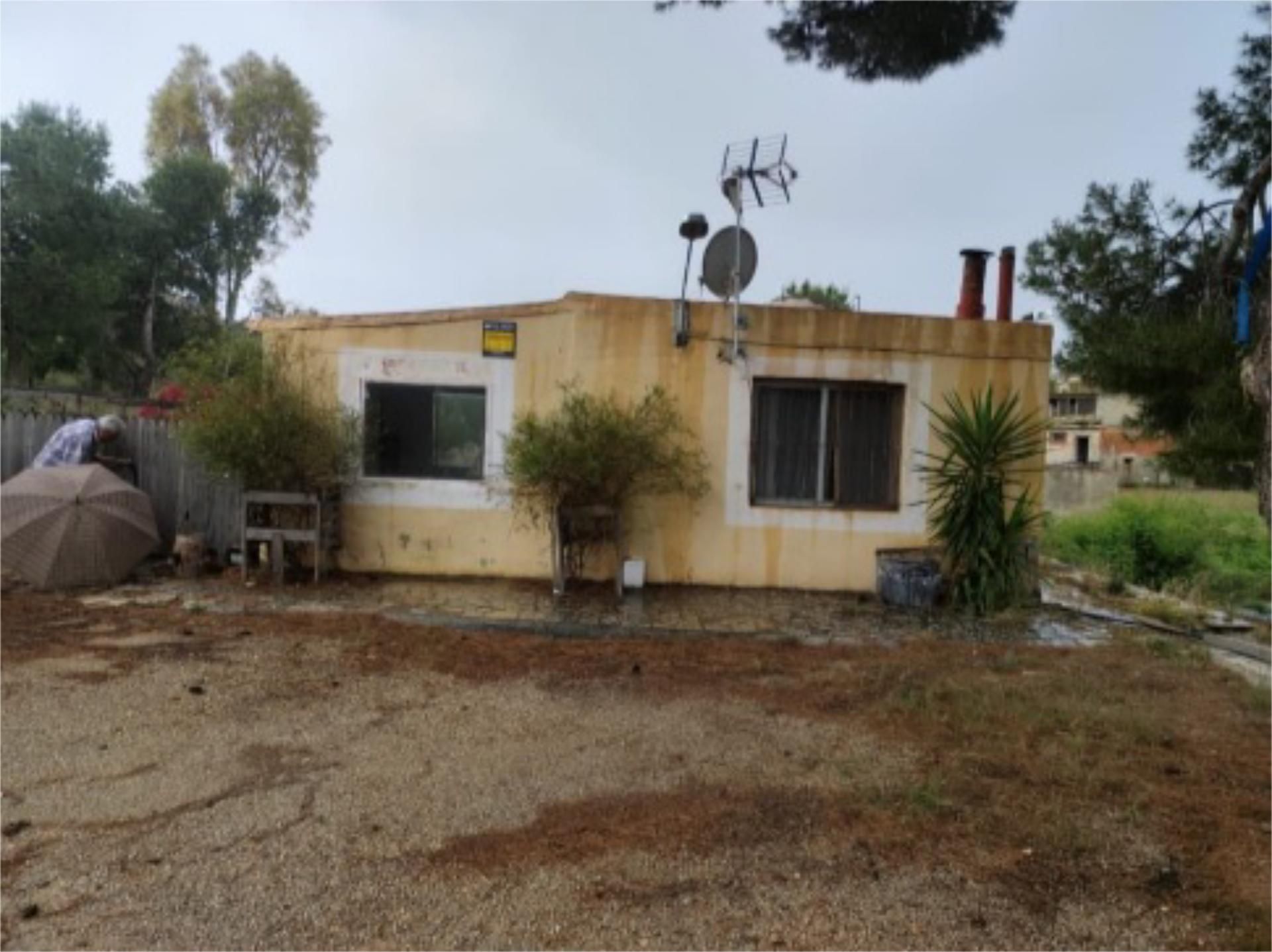 Vista exterior de Finca rústica en venta en San Vicente del Raspeig / Sant Vicent del Raspeig