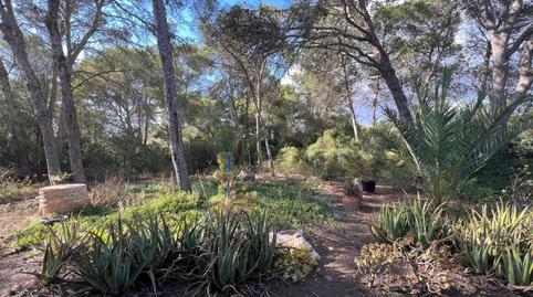 Country house to rent in Ses Salines Poble, Illes Balears - image 5 Photo 5 of Country house to rent in Ses Salines Poble, Illes Balears