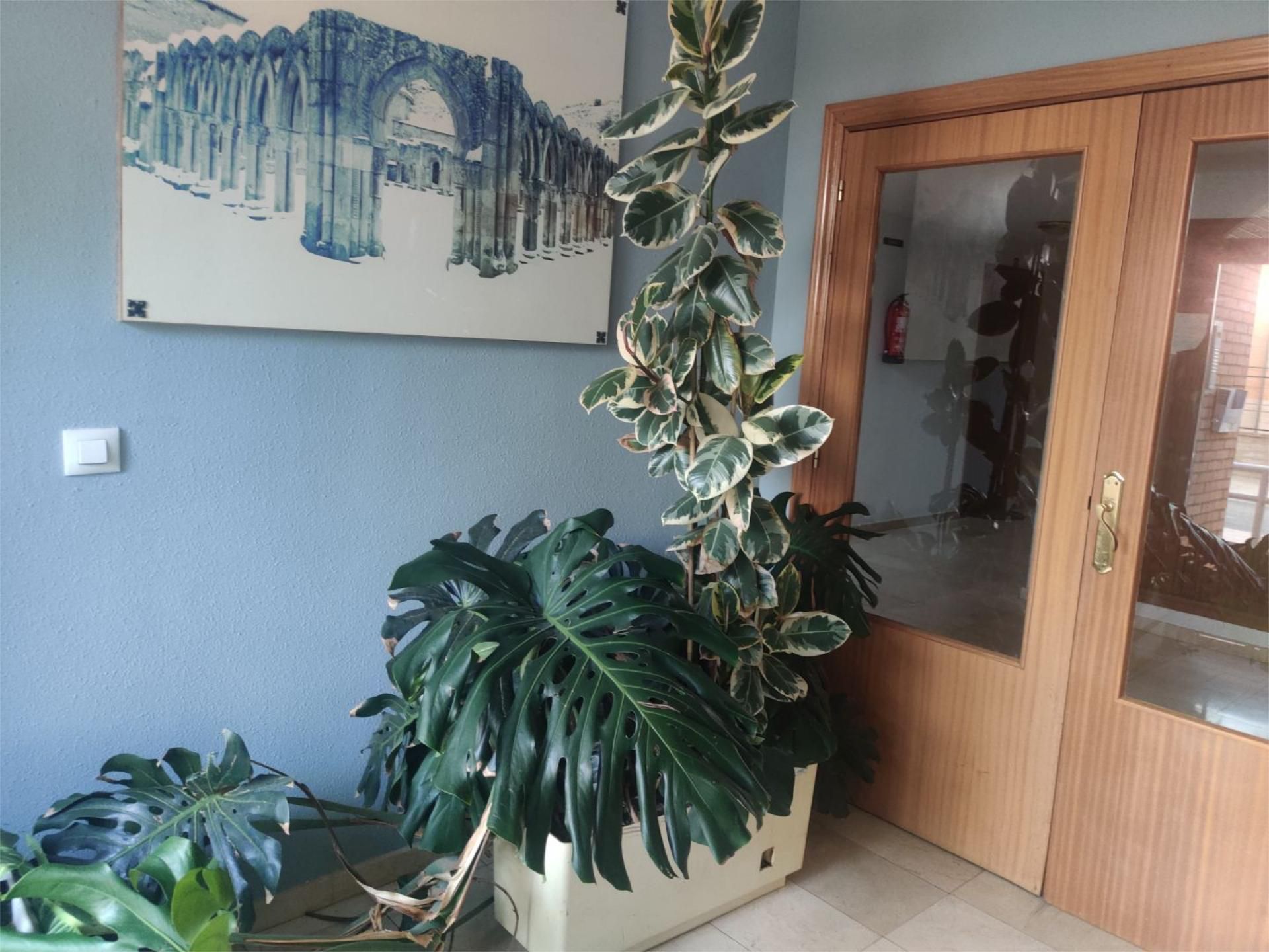 Àtic de lloguer en Soria Capital  amb Calefacció, Jardí privat i Parquet