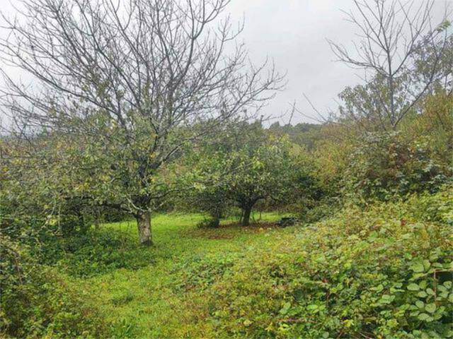 Casa-chalet en Venta en Forcarei