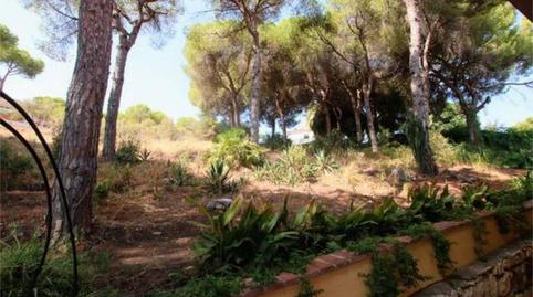 Casa adosada en venda a Pinos de Alhaurín, Málaga - imatge 5 Foto 5 de Casa adosada en venda a Pinos de Alhaurín, Málaga