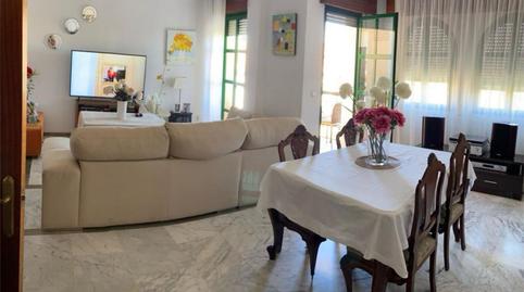 Flat to rent in Calle Manuel Fuentes "bocanegra", 21, Ciudad Jardín - Zoco, Córdoba - image 4 Photo 4 of Flat to rent in Calle Manuel Fuentes "bocanegra", 21, Ciudad Jardín - Zoco, Córdoba