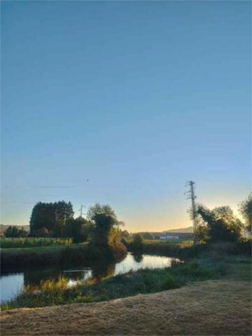 House or chalet for sale in Villaviciosa - Amandi House or chalet for sale in Villaviciosa