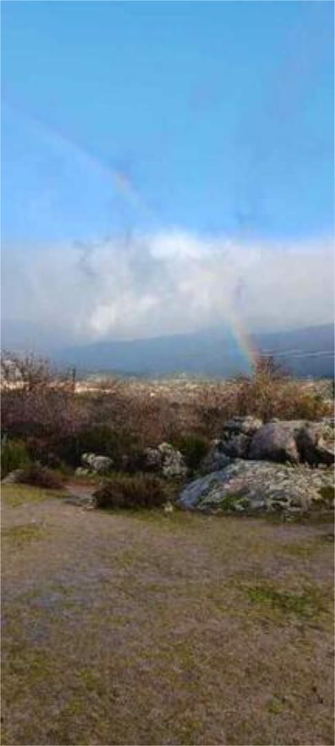House or chalet for sale in Moralzarzal