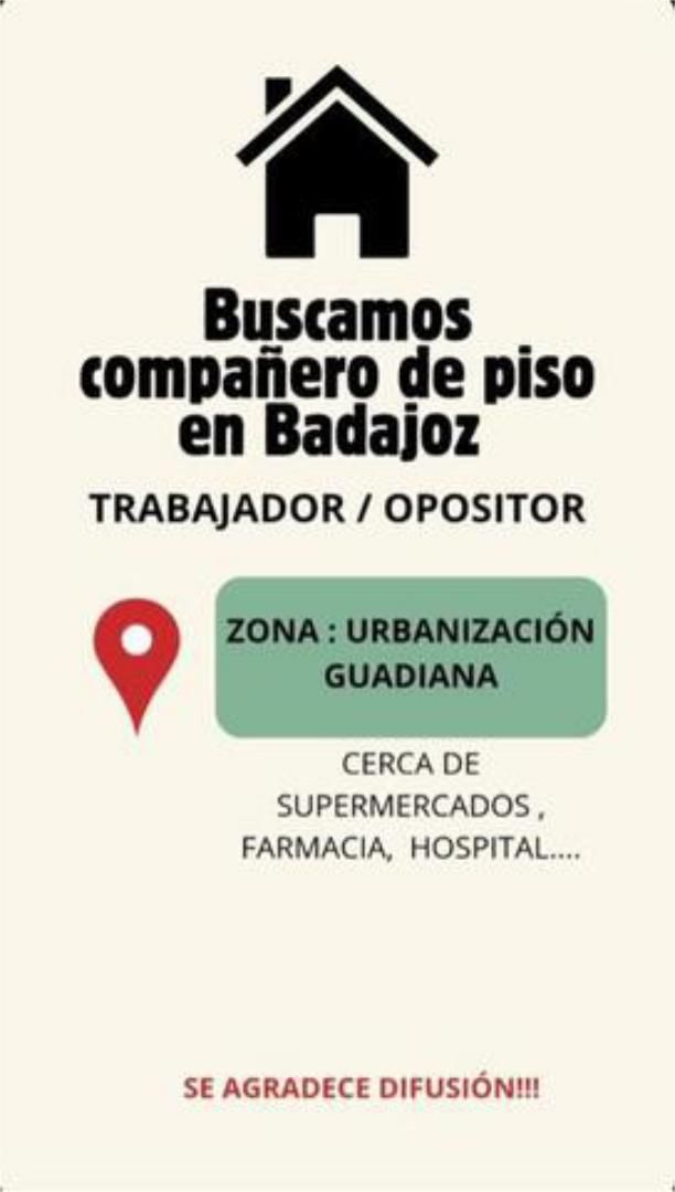Pis per a compartir a Avenida Elvas