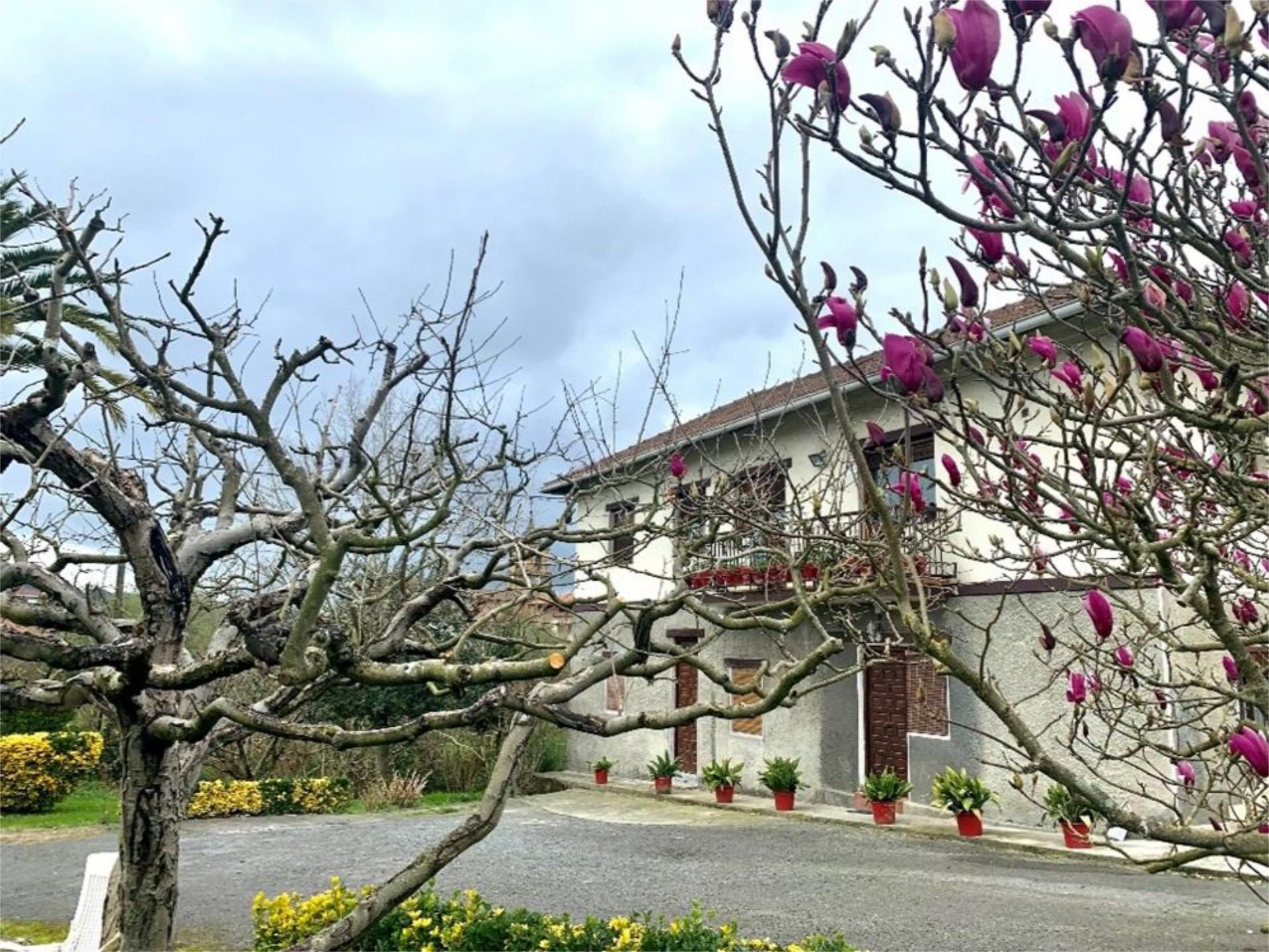 Pis de lloguer a Barrio Aretxalde, Lezama
