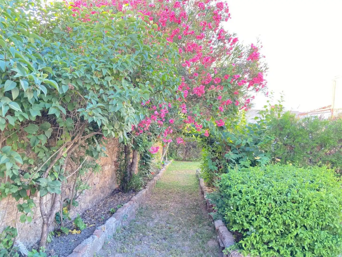 Garten von Fabrikhallen zum Verkauf in Ibahernando