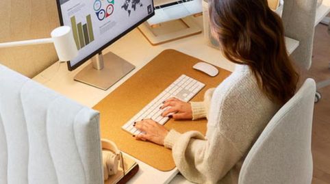 Oficina de alquiler en Avenida Sinforiano Madroñero, 34b, Valdepasillas - La Paz - Huerta Rosales, Badajoz Capital - imagen 5 Foto 5 de Oficina de alquiler en Avenida Sinforiano Madroñero, 34b, Valdepasillas - La Paz - Huerta Rosales, Badajoz Capital