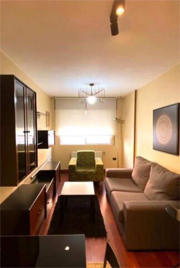 Sala d'estar de Apartament de lloguer en Lugo Capital