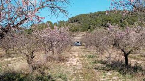Foto 3 de Casa adosada de lloguer a El Pinell de Brai, Tarragona