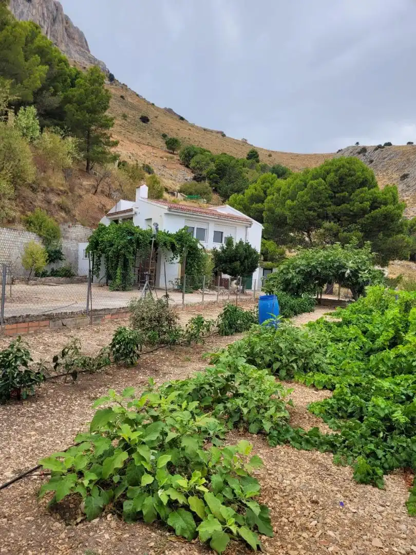 Houses for sale in Calle Ds Almodovar, 6, Ctra. Circunvalación - La Magdalena Garden of Houses for sale in Jaén with Private garden, Terrace and Storage room
