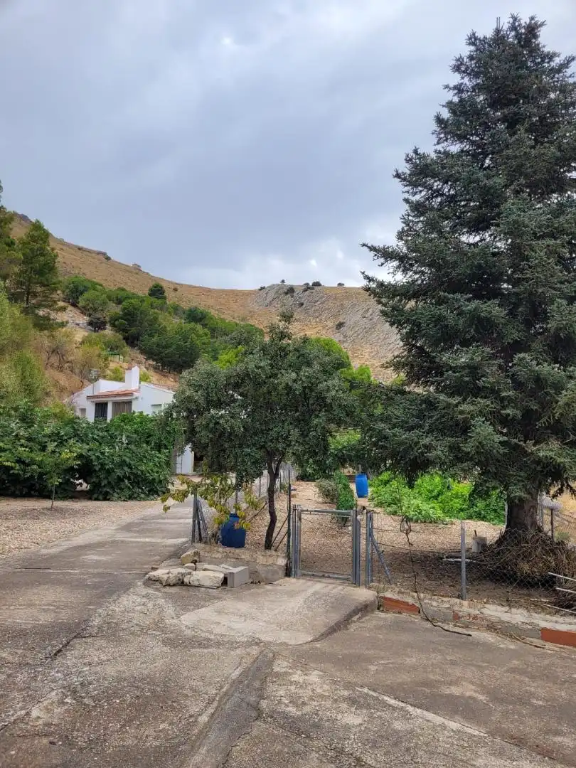 Houses for sale in Calle Ds Almodovar, 6, Ctra. Circunvalación - La Magdalena Exterior view of Houses for sale in Jaén with Private garden, Terrace and Storage room