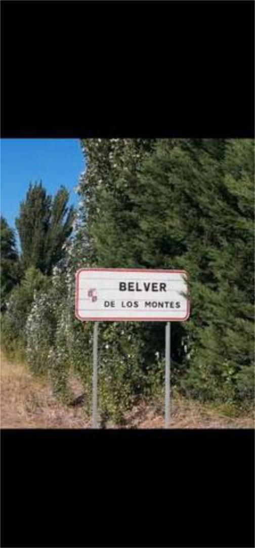 Vista exterior de Casa o xalet en venda en Belver de los Montes amb Jardí privat, Terrassa i Traster