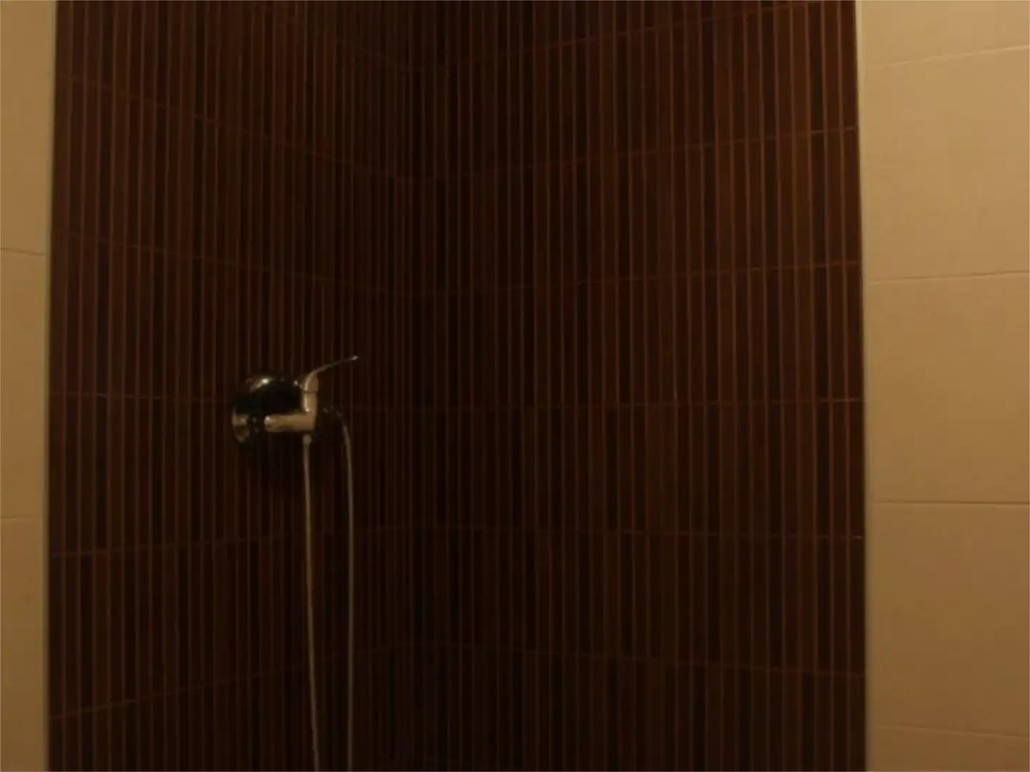 Bathroom of Flat for sale in Algeciras  with Furnished, Community parking and Balcony