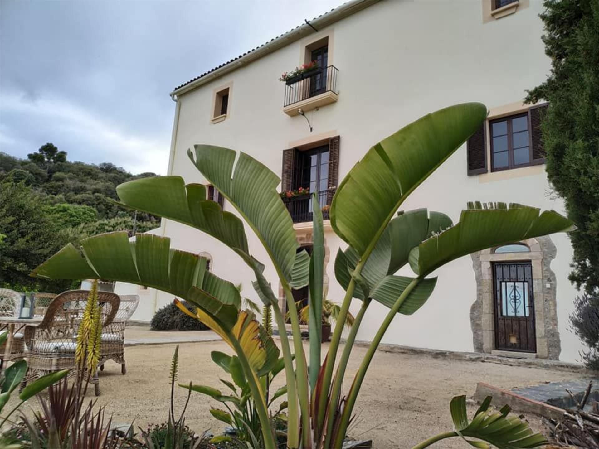 Vista exterior de Finca rústica en venda en Pineda de Mar amb Terrassa i Balcó