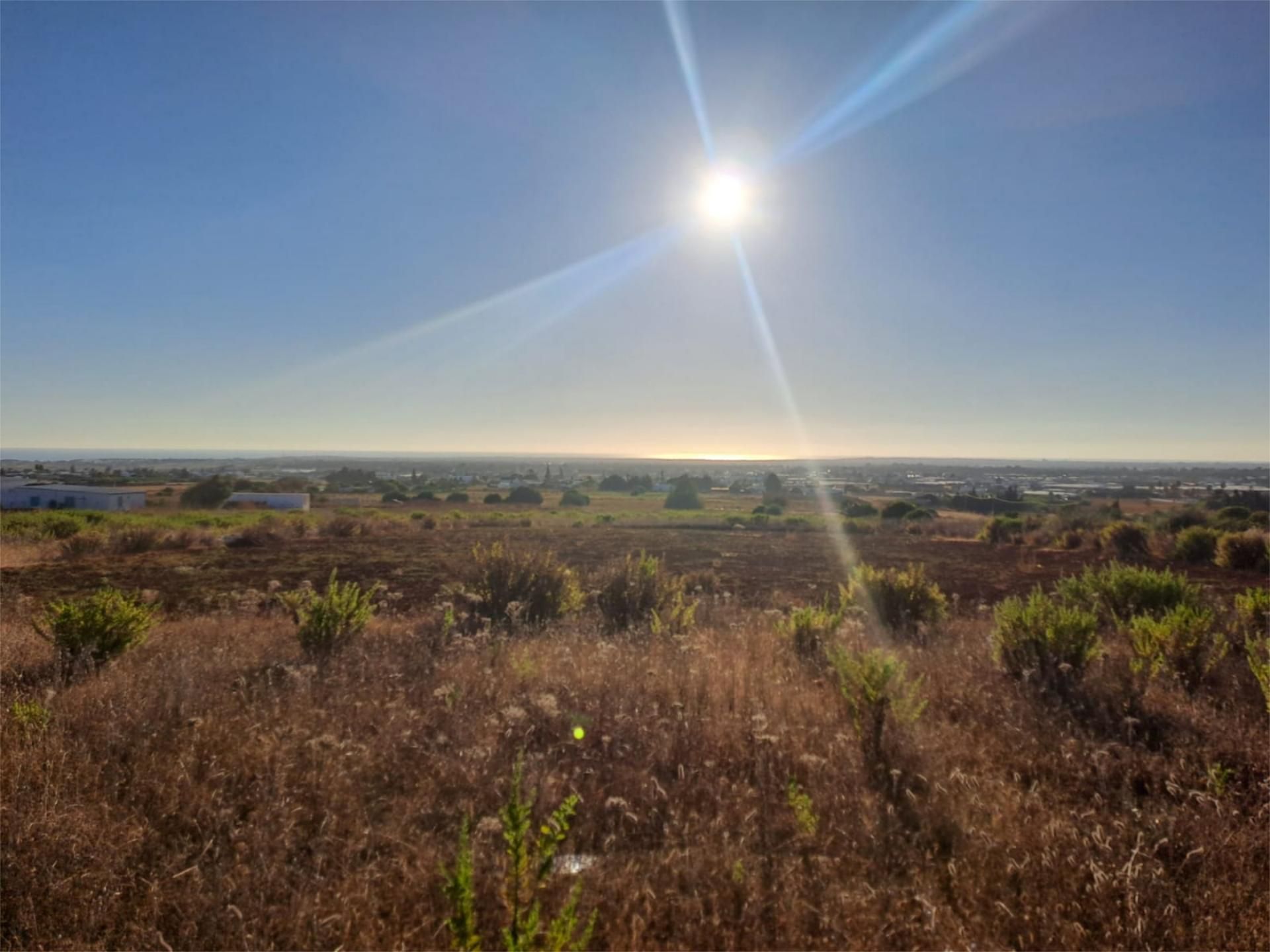 Finca rústica en venta en Conil de la Frontera