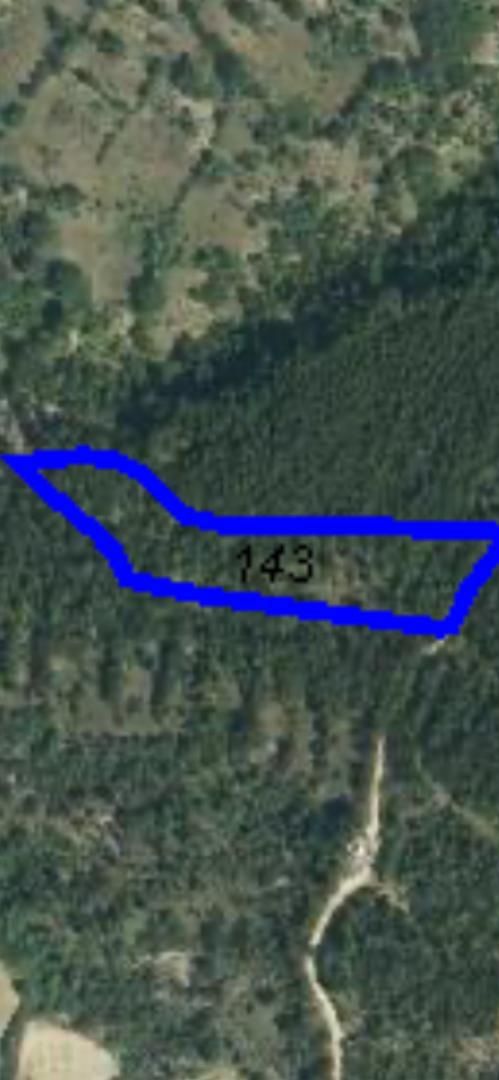 Land for sale in Beranuy