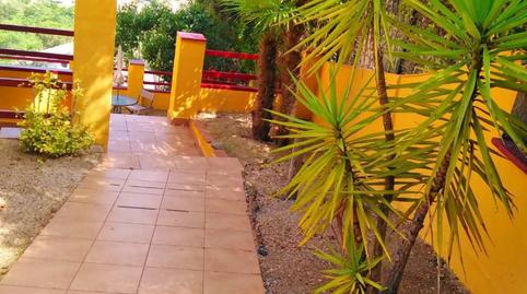 Apartament de lloguer a Urbanització Can Raimi, 1, Urbanitzacions, Barcelona - imatge 4 Foto 4 de Apartament de lloguer a Urbanització Can Raimi, 1, Urbanitzacions, Barcelona