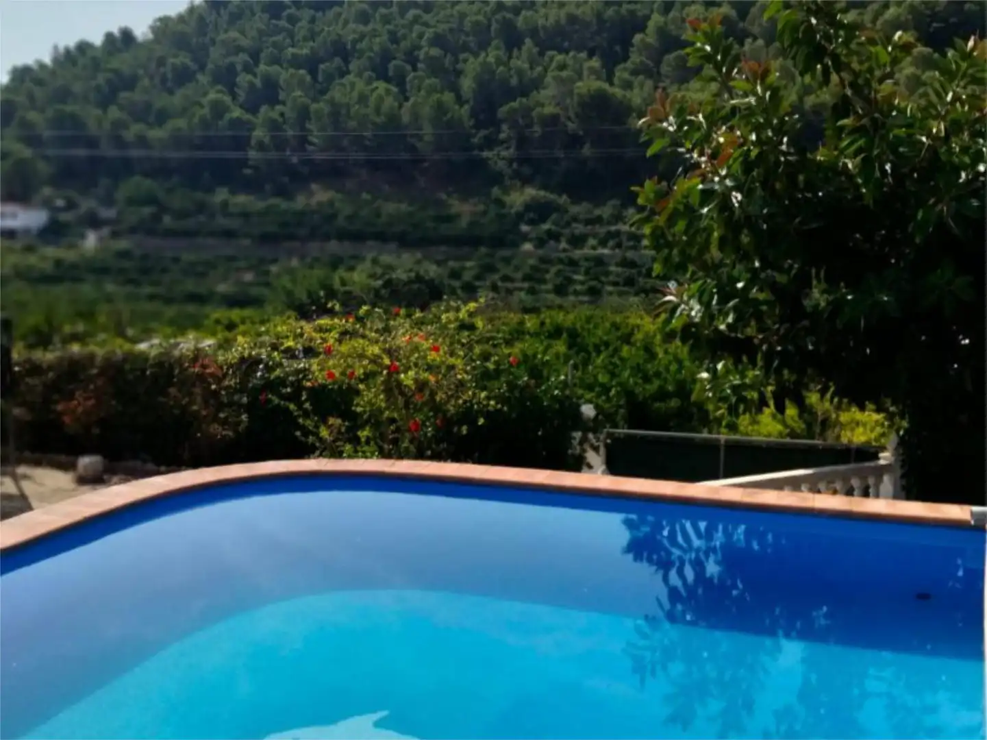 Finca rústica en venta en Carrer de Les Oliveres, 5, Favara Piscina de Finca rústica en venta en Favara con Terraza y Piscina