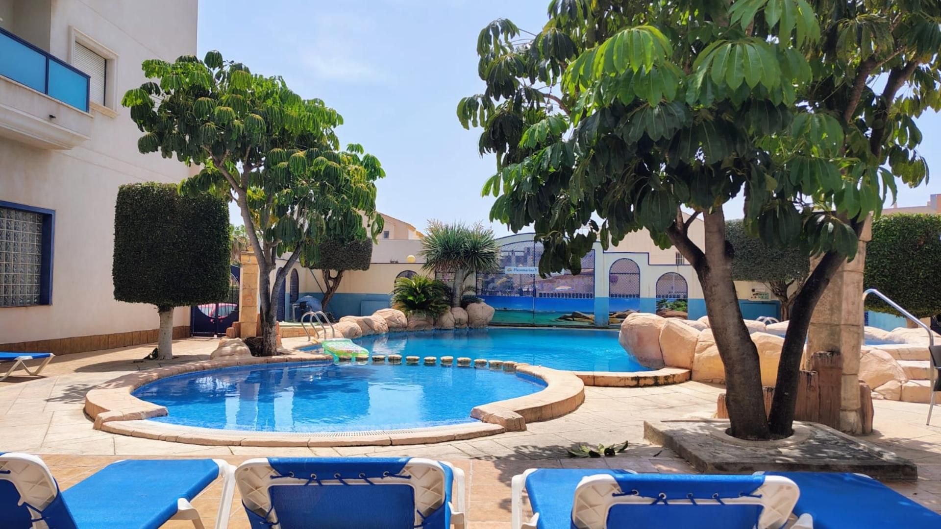 Piscina de Apartament de lloguer en Orihuela amb Aire condicionat, Calefacció i Parquet