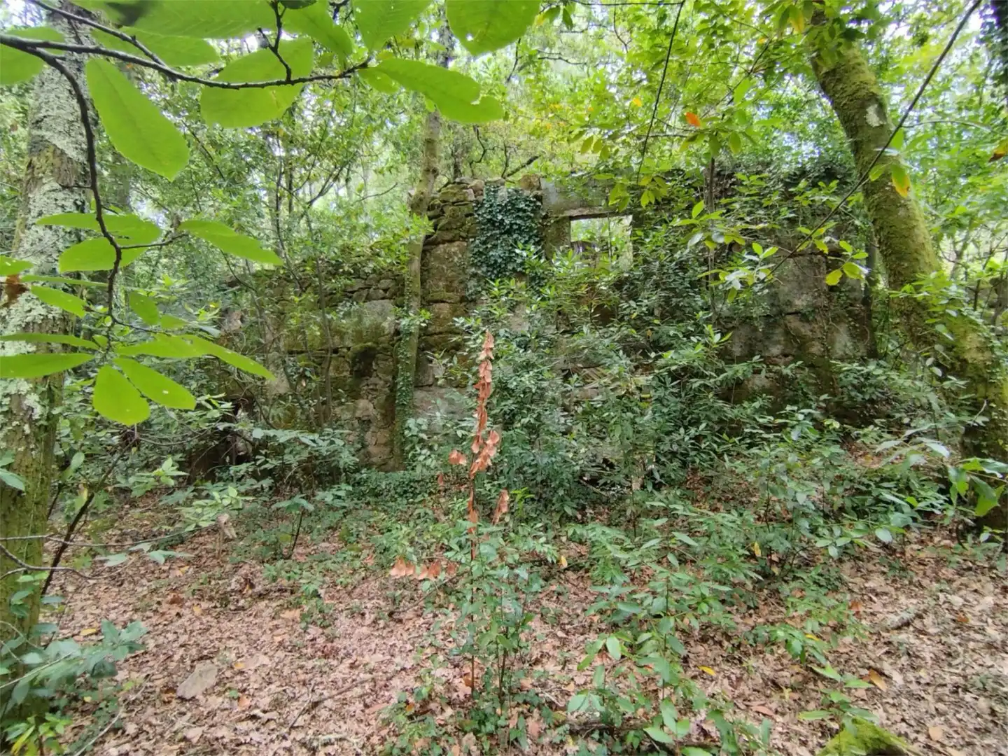 Casa o xalet en venda a Camiño de Gàndara, 62, Mos Casa o xalet en venda en Mos