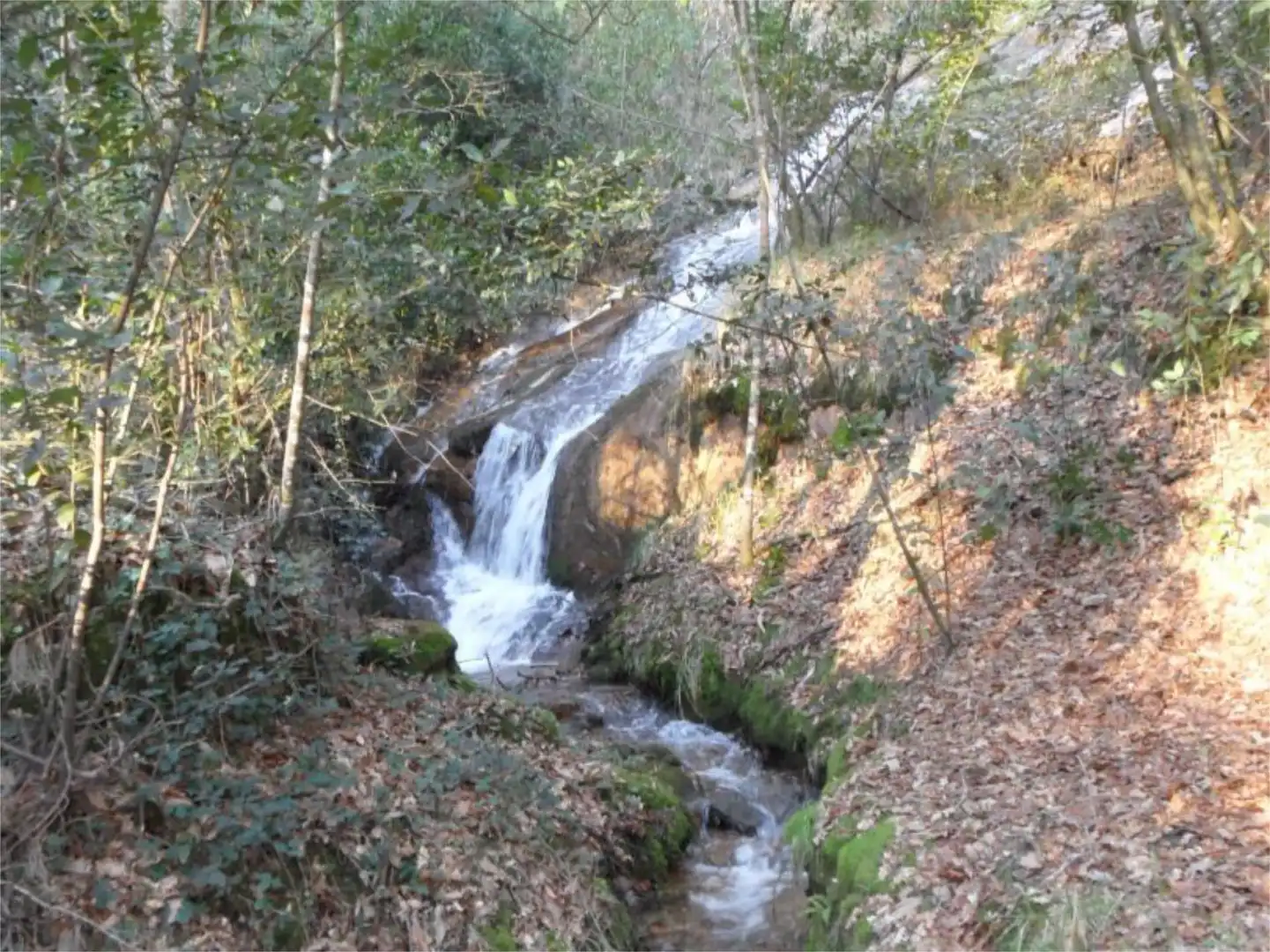 Casa o xalet en venda a Camiño de Gàndara, 62, Mos Vista exterior de Casa o xalet en venda en Mos