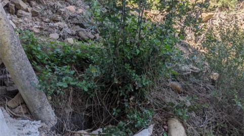 Foto 4 de Finca rústica en venta en Sant Mateu de Bages, Barcelona