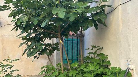 Foto 3 de Finca rústica en venda a Calle Mayor, 11, San Pedro, Albacete