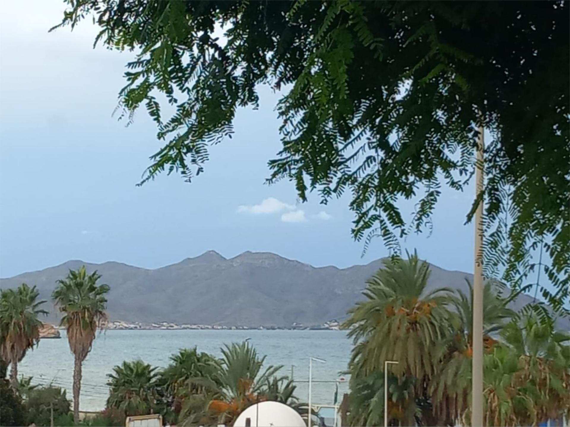 Planta baja de alquiler en Avenida Cabo Cope, 23, El Alamillo