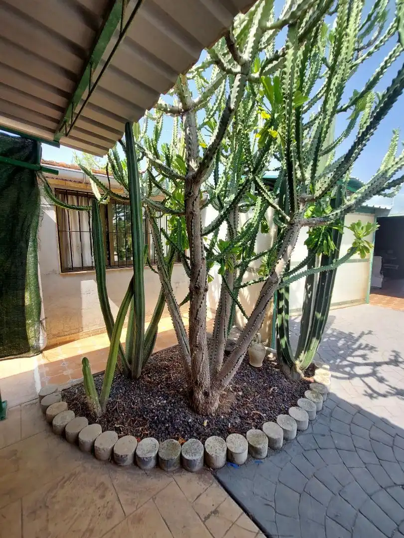 Garden of Country homes for sale in Abanilla  with Terrace and Swimming Pool