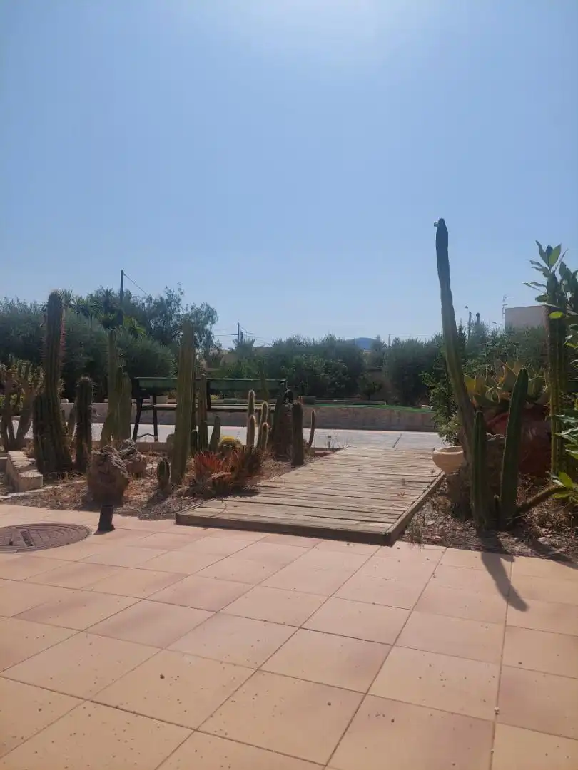 Garden of Country homes for sale in Abanilla  with Terrace and Swimming Pool