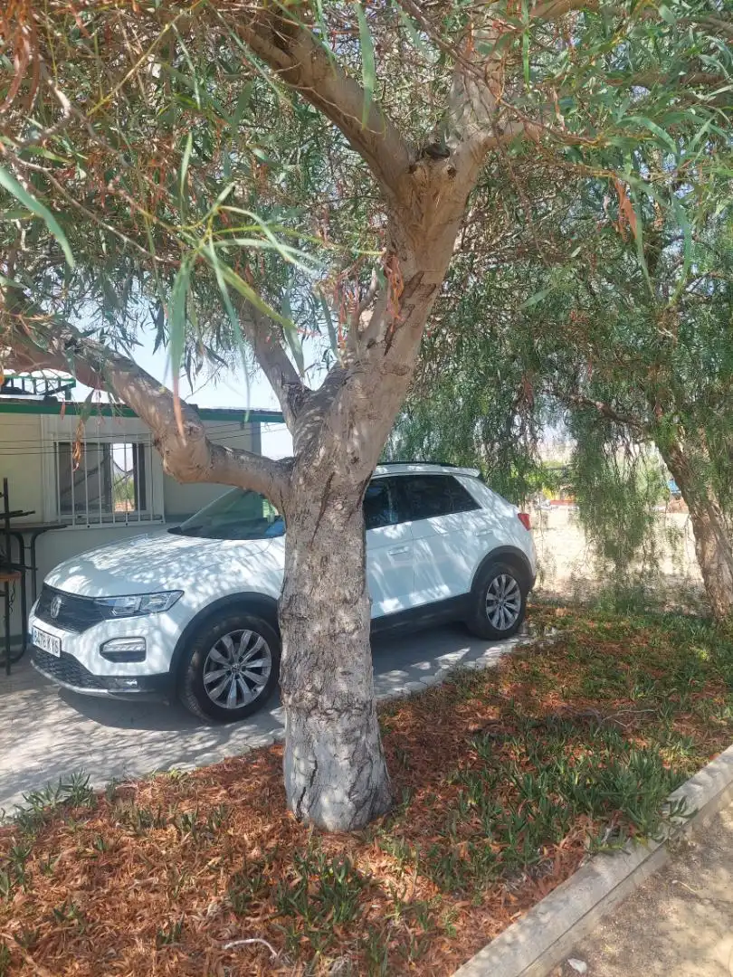 Parking of Country homes for sale in Abanilla  with Terrace and Swimming Pool