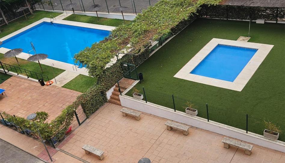 Pis en venda a Avenida Europa, 101, Avenida de Europa, Sevilla - imatge 1 Foto 1 de Pis en venda a Avenida Europa, 101, Avenida de Europa, Sevilla