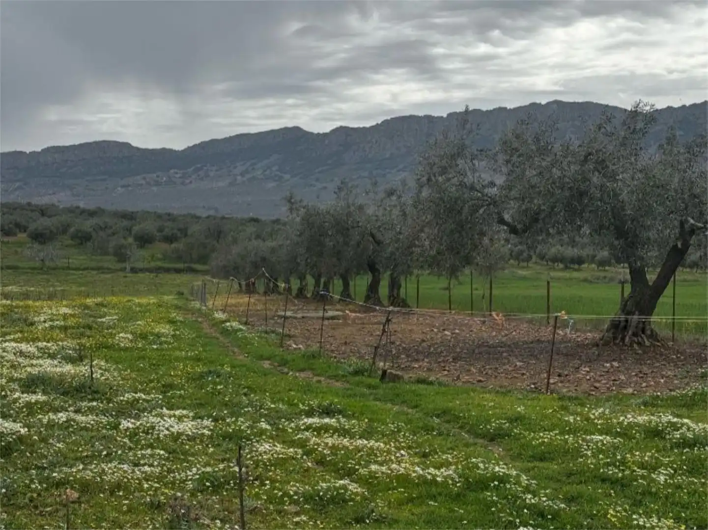 Flat for sale in Lugar Diseminado, 141, Cabeza del Buey Flat for sale in Cabeza del Buey with Private garden and Storage room
